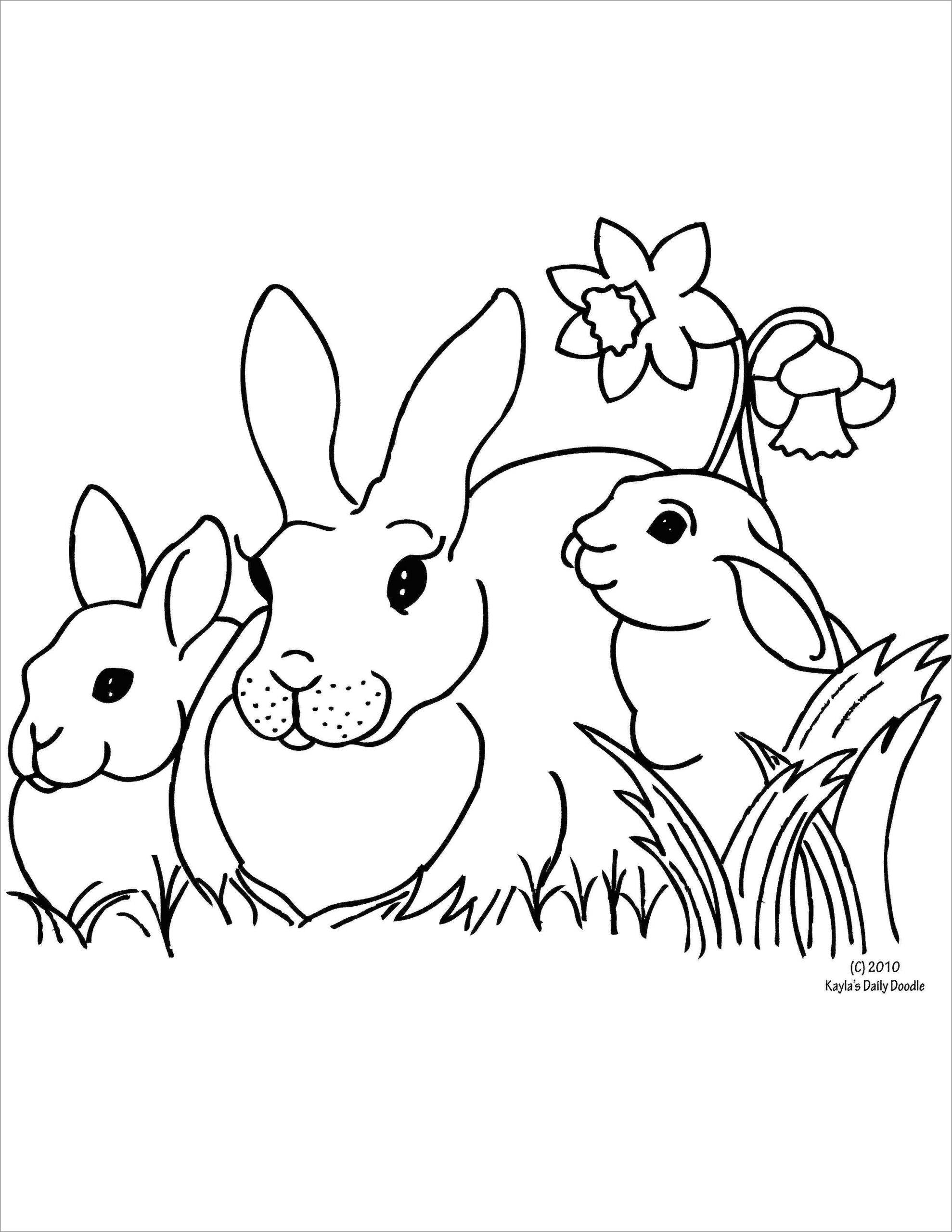 Rabbit Coloring Pages ColoringBay