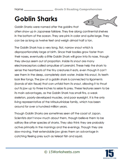 reading comprehension worksheets grade 5