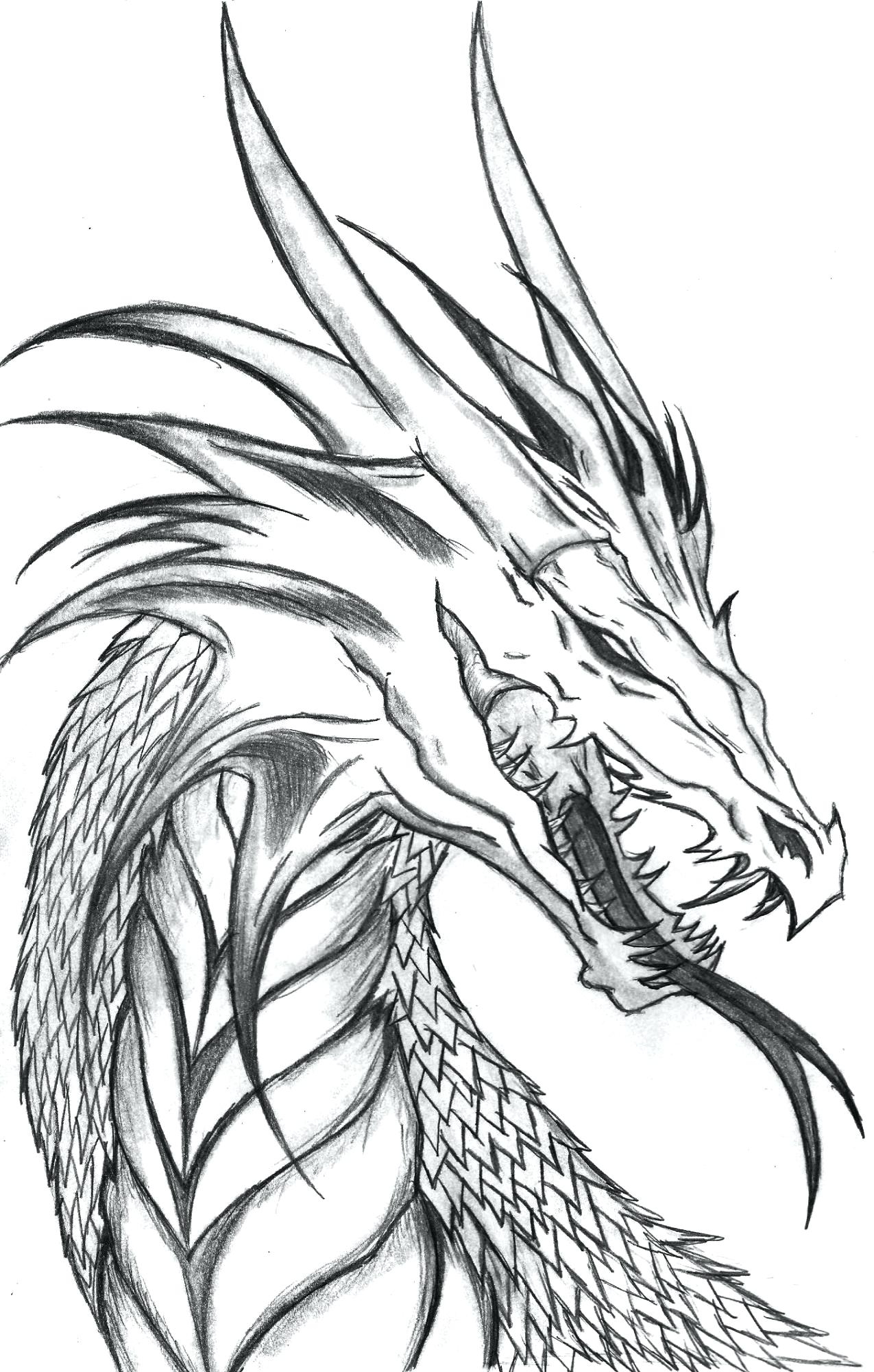 Realistic Coloring Pages Of Dragons At GetColorings Free 
