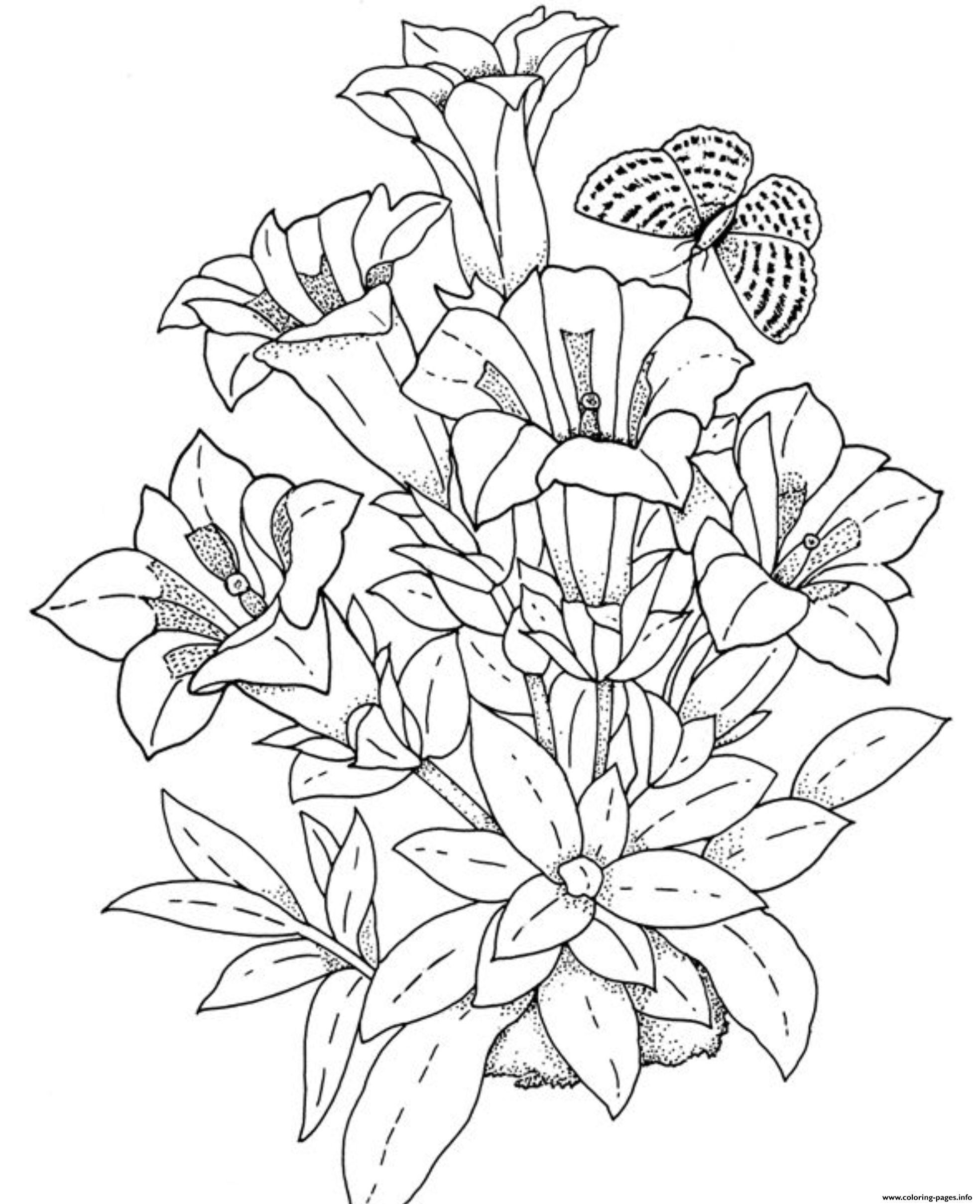 Flower Coloring Pages