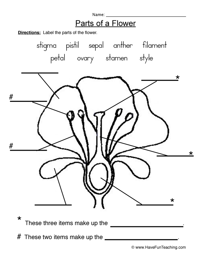 Resource Science Flowers Parts Plant Worksheet 1 Printable Worksheets