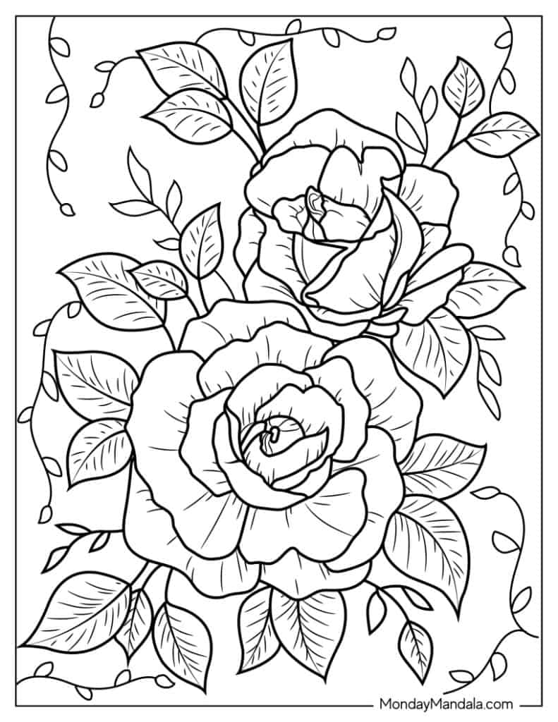 Roses Printable Coloring Pages Roses Thorns Petals Iheartcraftythings