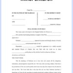 Sample Printable DIVORCE PAPER Forms Template 2025 Printable Divorce