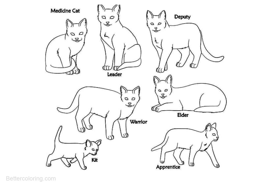 Seven Warrior Cats Coloring Pages Free Printable Coloring Pages
