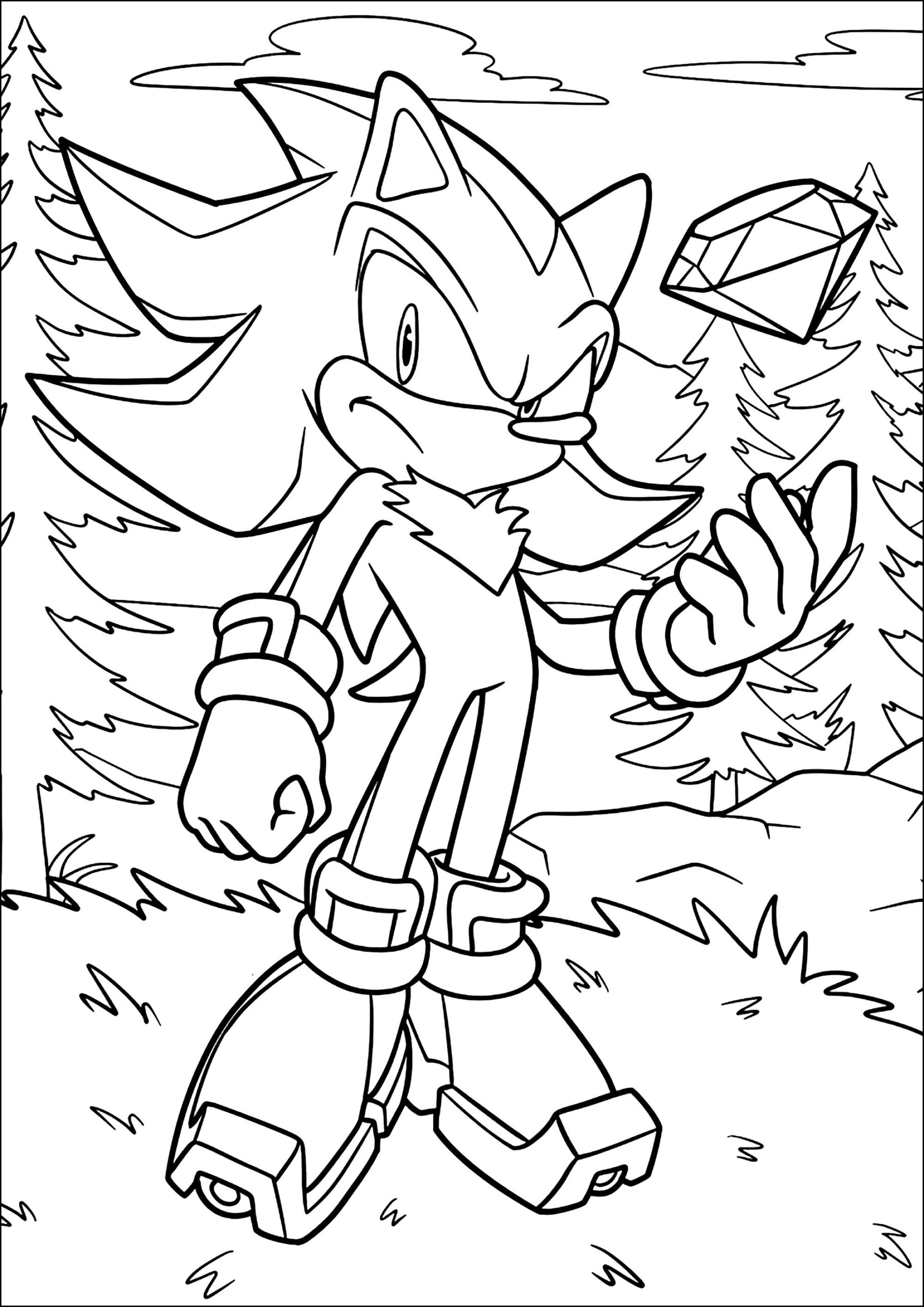 Color Pages Sonic