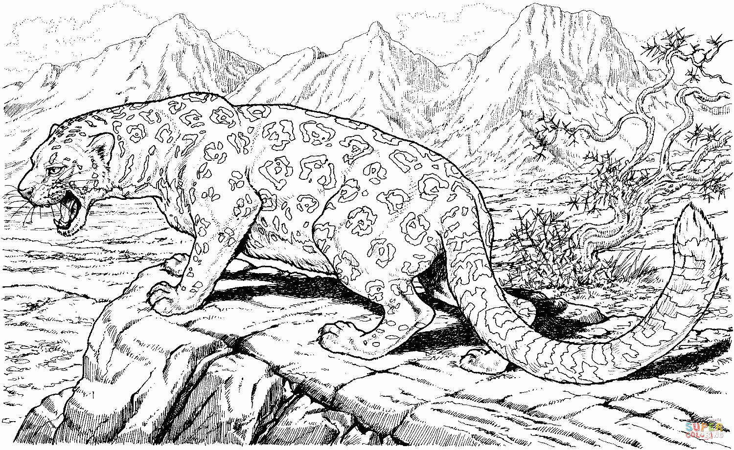 Leopard Coloring Page