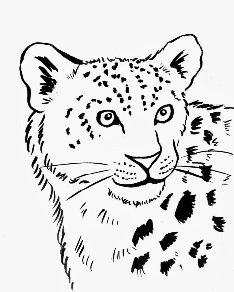 Snow Leopard Coloring Page Coloring Home