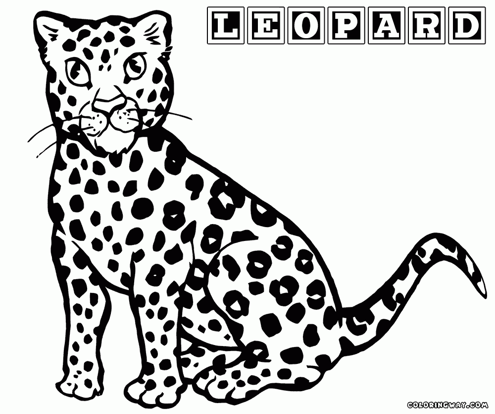 Snow Leopard Coloring Page Coloring Home