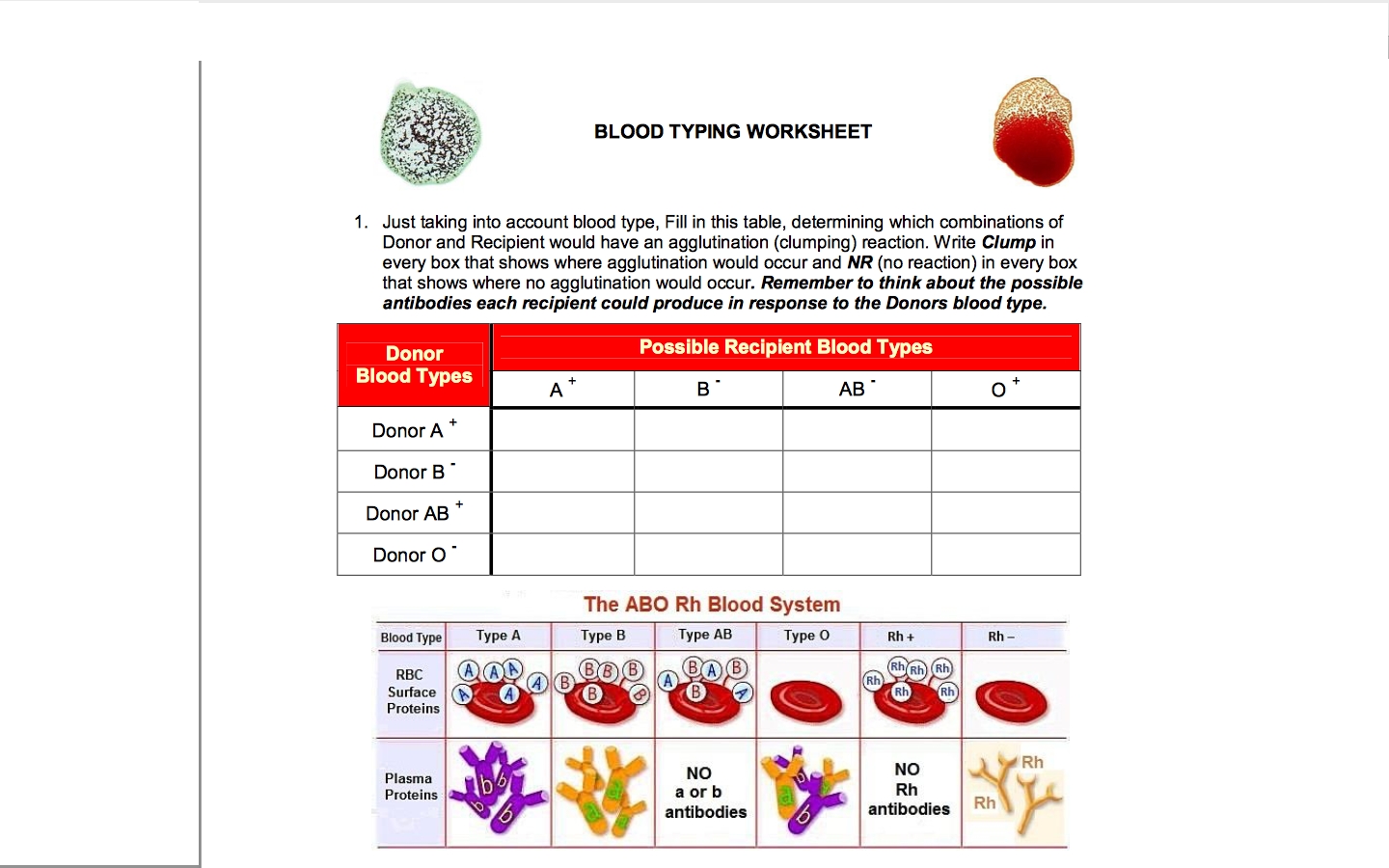Solved Blood Typing Worksheet Name Based On Your Reading Chegg 