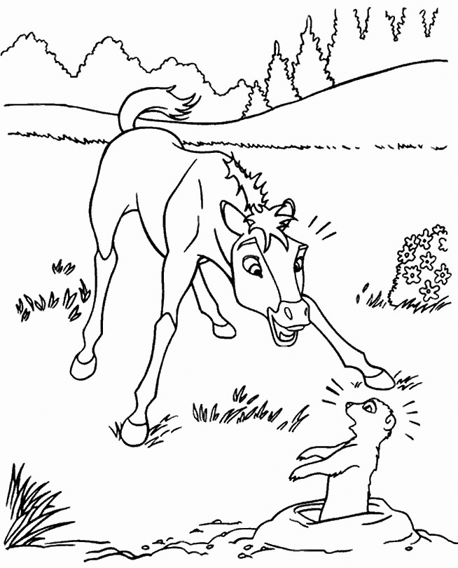spirit riding free coloring pages