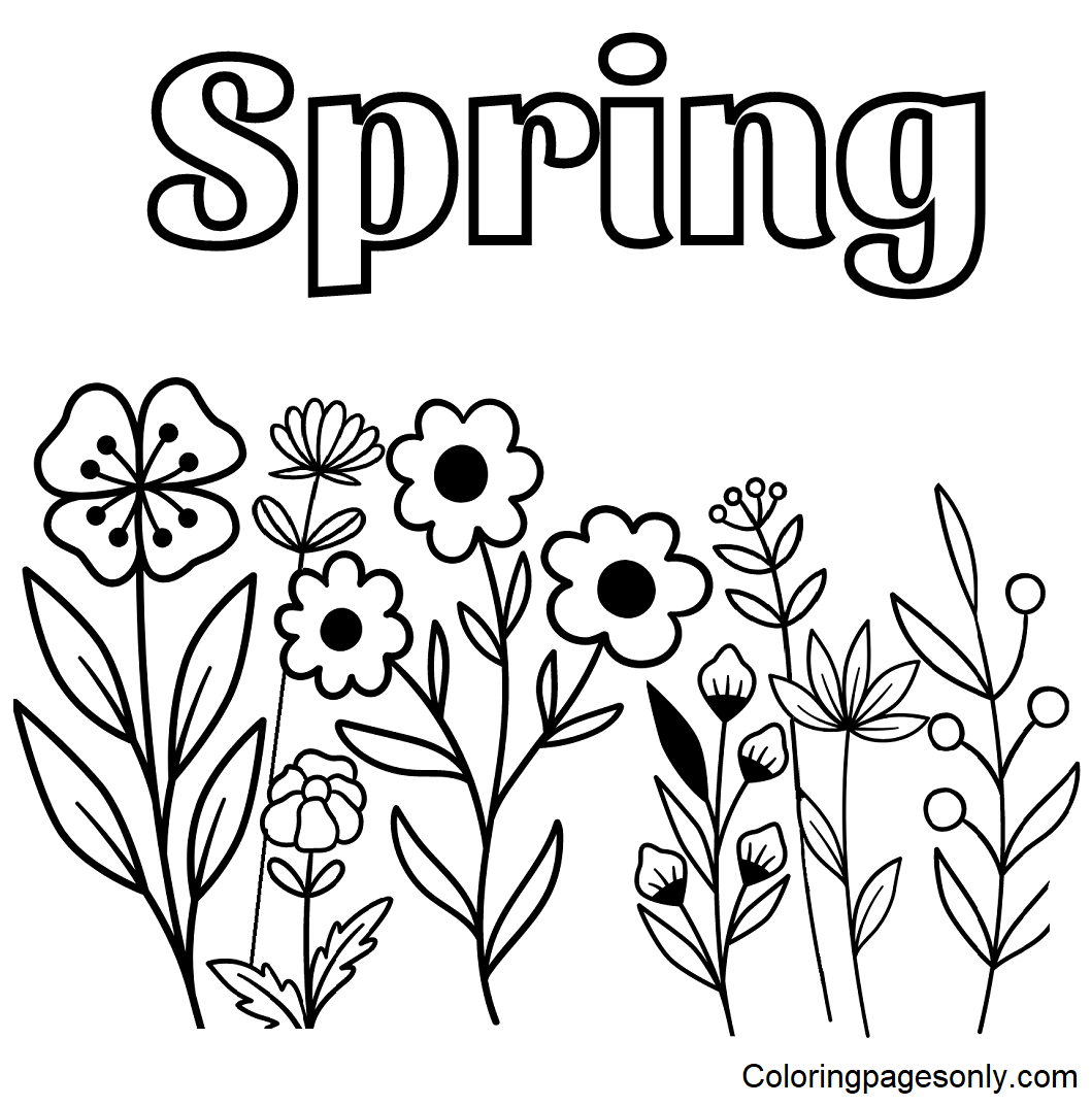 flowers coloring pages free printable