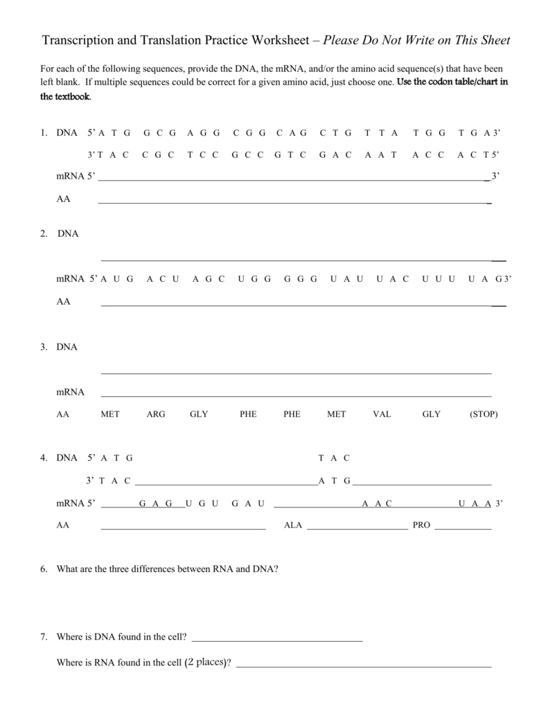 Transcription And Translation Practice Worksheet Answers Db excel
