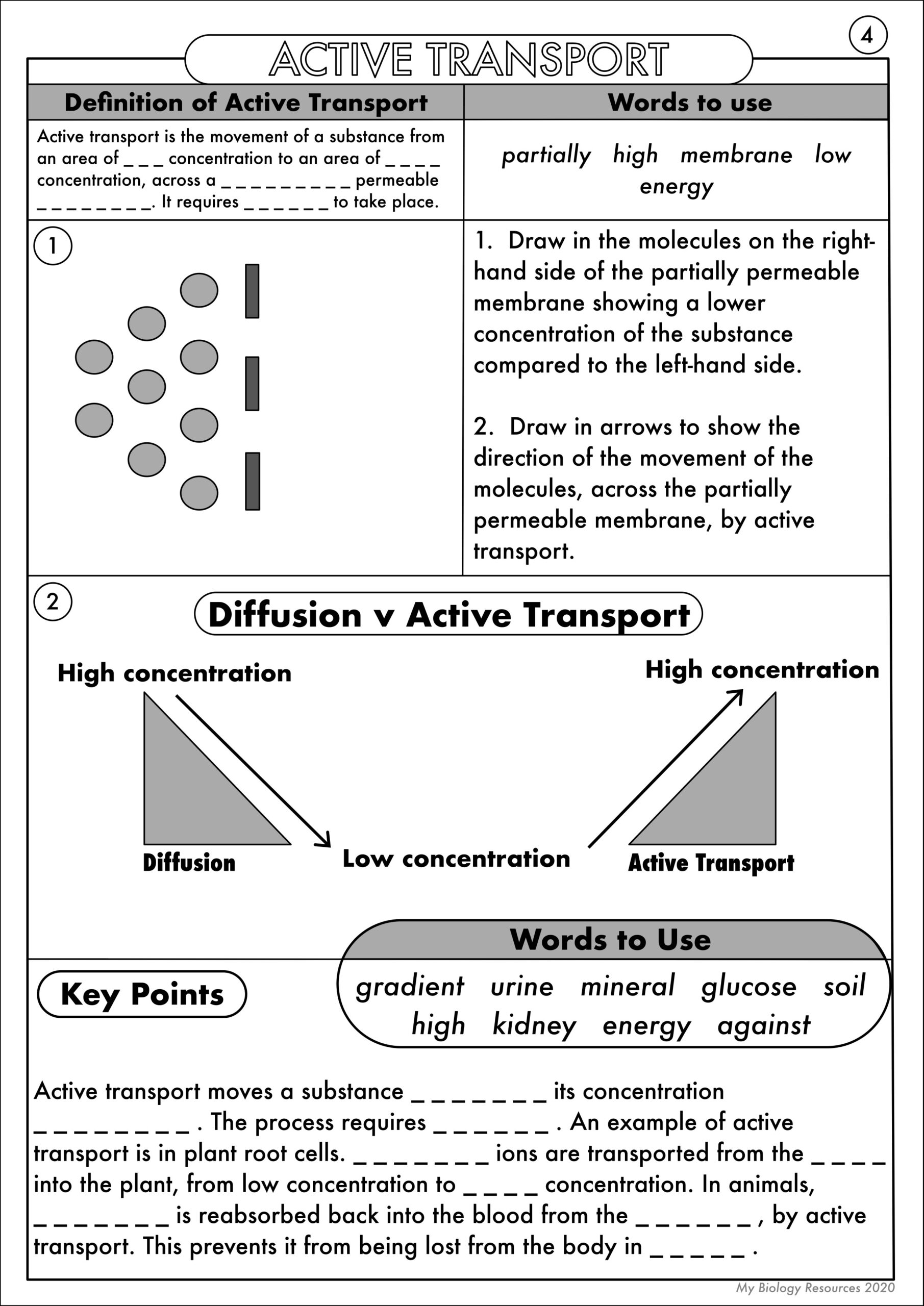 cells worksheet