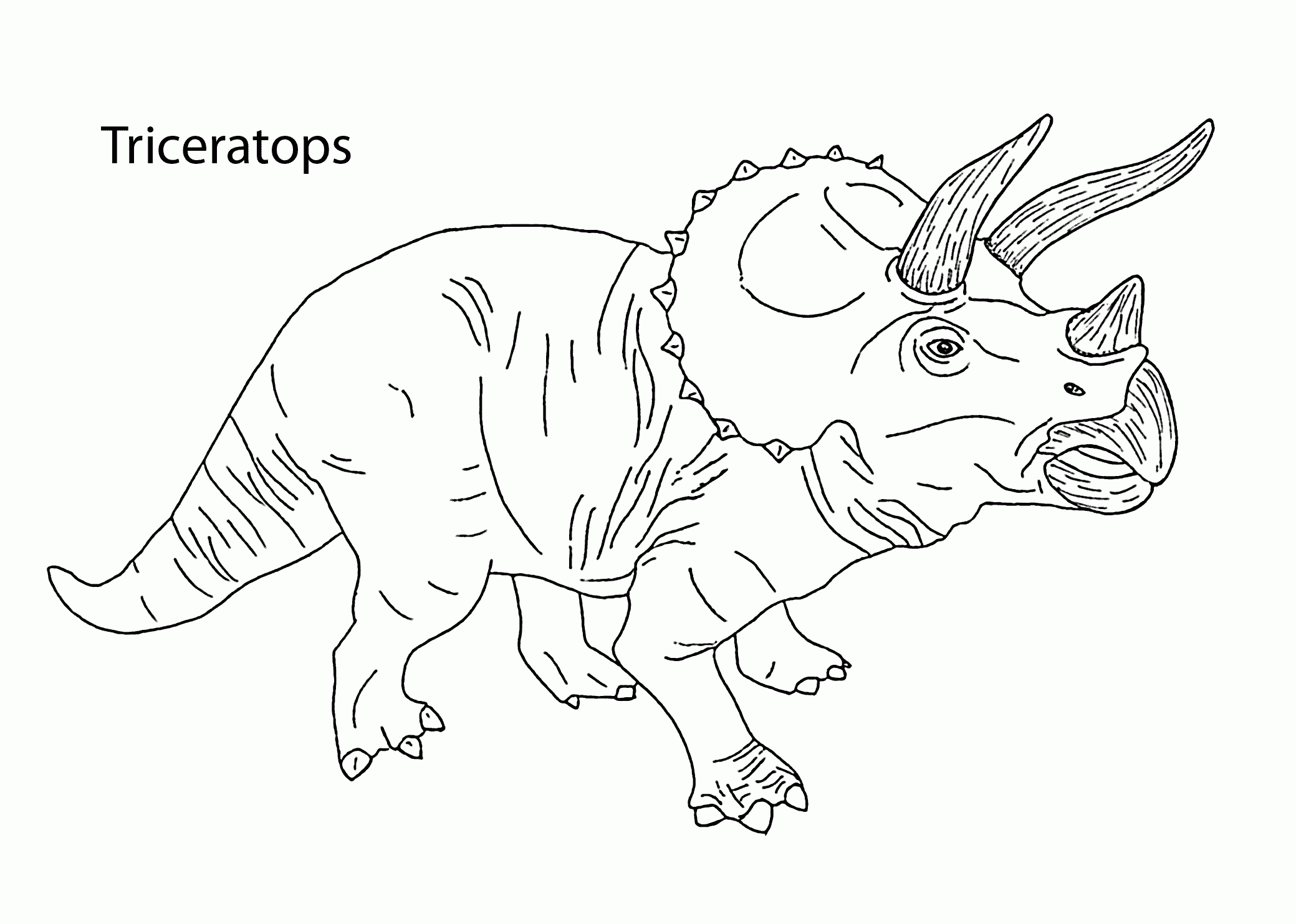 Triceratops Dinosaur Coloring Pages