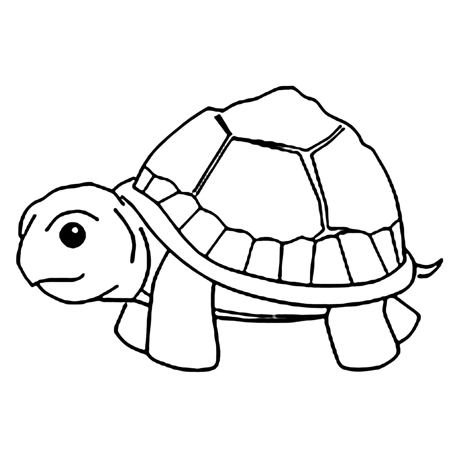 Turtle Coloring Pages
