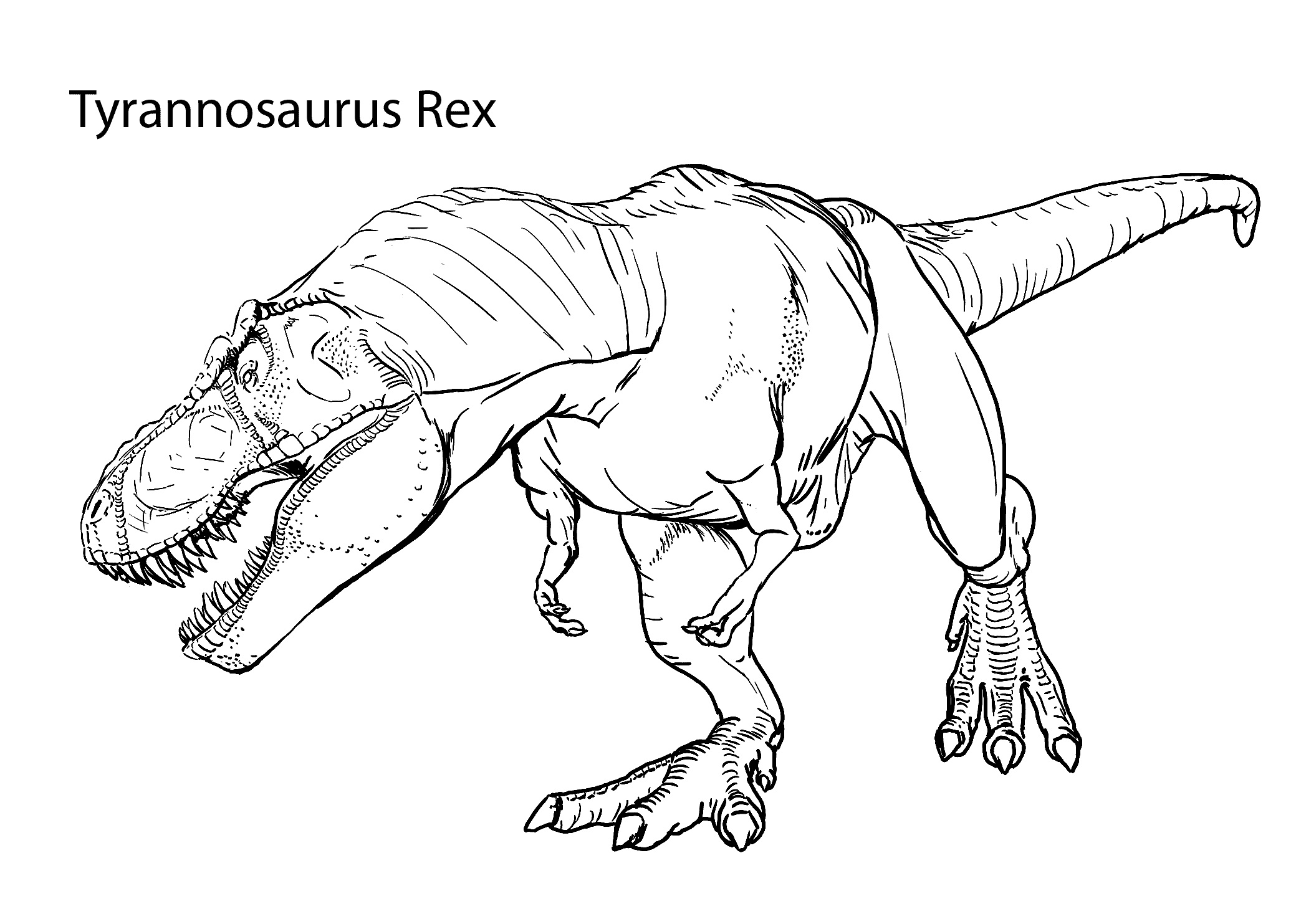 Tyrannosaurus Rex Coloring Pages