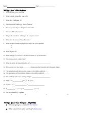 bill nye genes worksheet