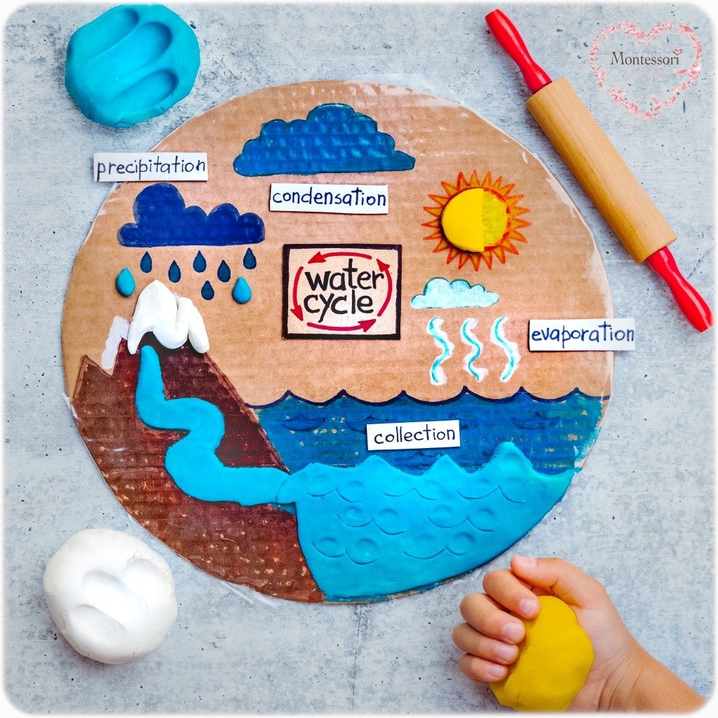 Water Cycle Kids Activities Artofit