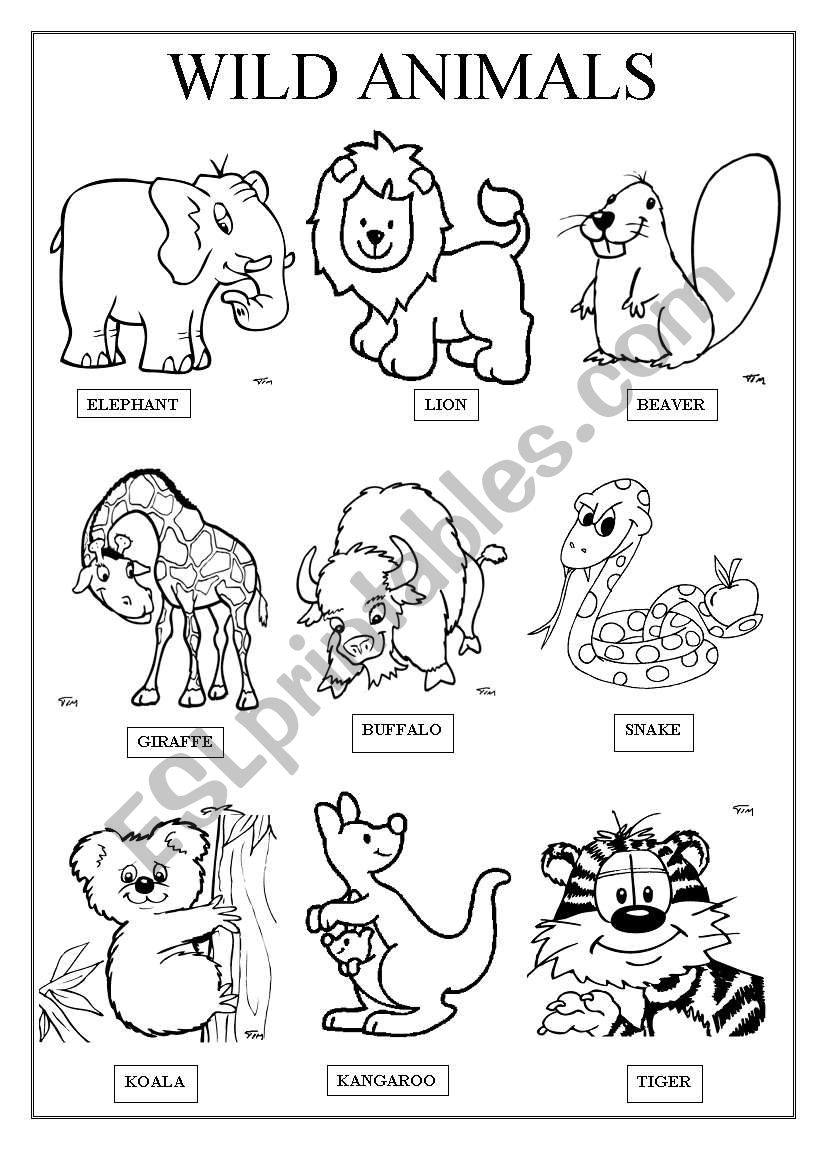 wild animals printable worksheets