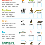 Word Parts Prefix Base Word Suffixes For Grade 2