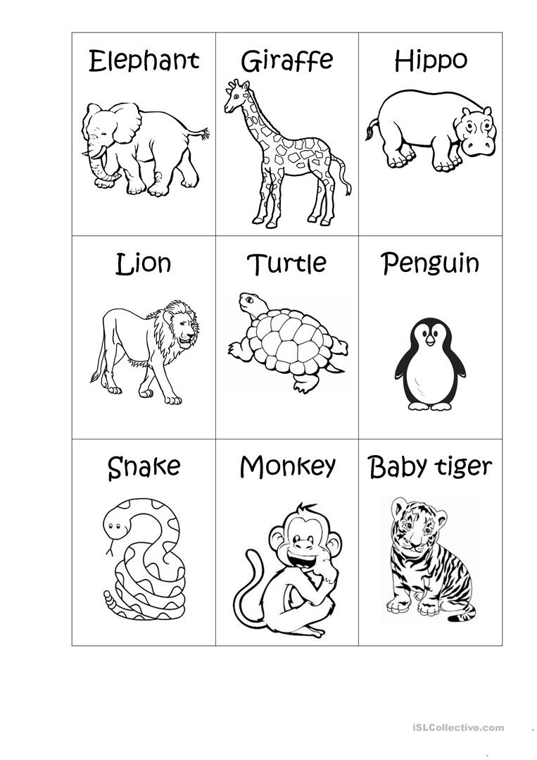 Zoo Animals Worksheet This Worksheet Is Designed To Teach The Free 