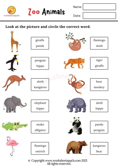Zoo Animals Worksheets Worksheetspack