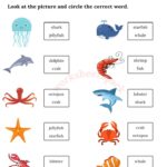 Zoo Animals Worksheets Worksheetspack