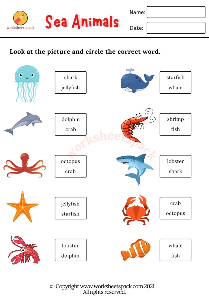 Zoo Animals Worksheets Worksheetspack