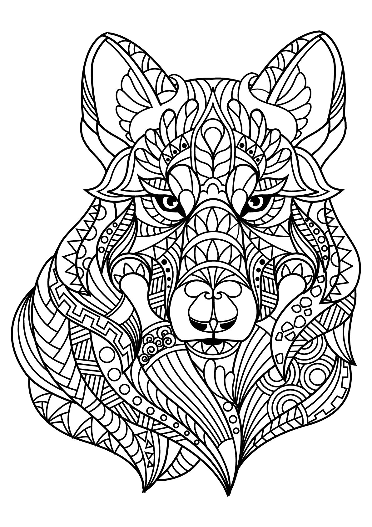 printable coloring pages wolf